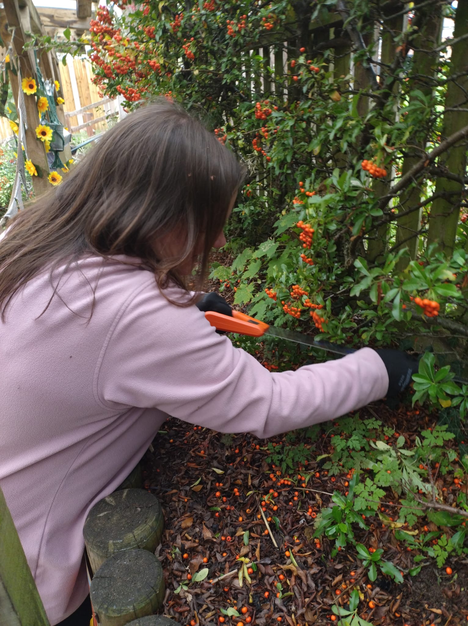 Update – First Class Garden Work